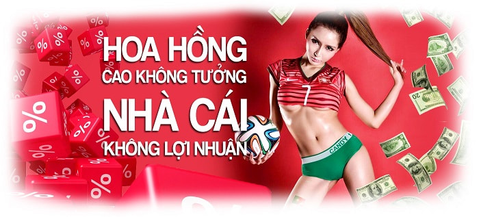 Tỷ lệ thưởng hoa hồng cao tại mibet